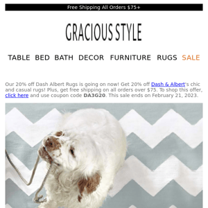 20% off Dash Albert Rugs -- Our picks for you! | Gracious Style