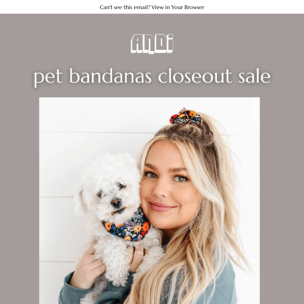 Closeout Sale: $3 Pet Bandana Sets 🐶