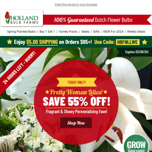 55% OFF Orienpet Lilies 👉 HOURS LEFT!