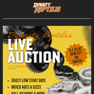 Virtual LIVE Auction!