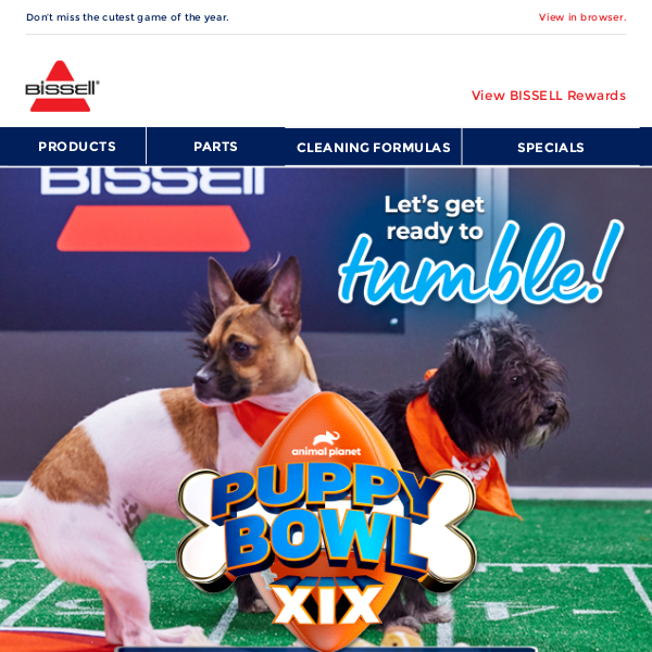 Ready, Set...Puppy Bowl XIX is here! 🐶 🏈