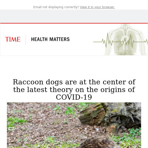 Raccoon dogs might have been ground zero for COVID-19