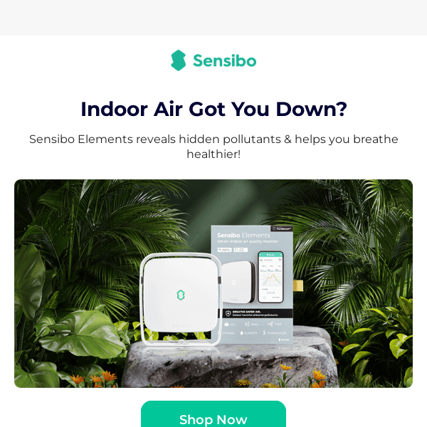 Sensibo's Smart Air Quality Monitor: Your Air Quality Guardian 🍃