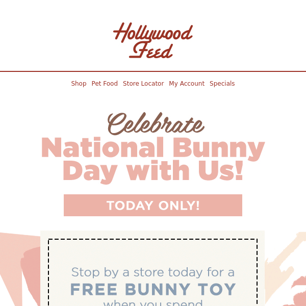 TODAY ONLY!🚨FREE Bunny Toy with Purchase!🐰