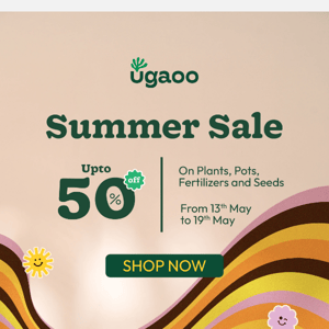 Hey Ugaoo! Get Your First Plant This Summer Sale