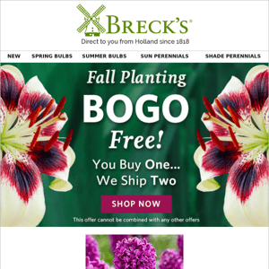 There's still time to enjoy BOGO savings