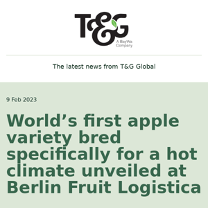 News from T&G Global