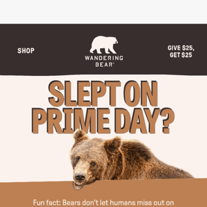 Hibernated through Prime Day?