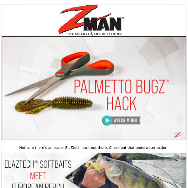 Palmetto BugZ Hack