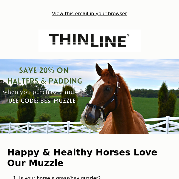Your horse's fave is 20% off!