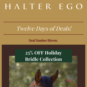 🎁✨  Deal #11 -  25% OFF HOLIDAY BRIDLE COLLECTION!   ✨ 🎁