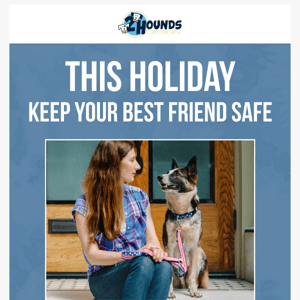 Holiday Dog Safety Tips 🐶