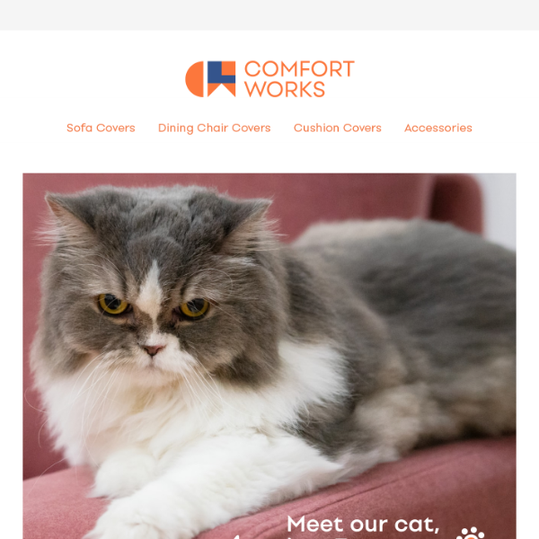 Say hi to the Comfort Works cat 🐈