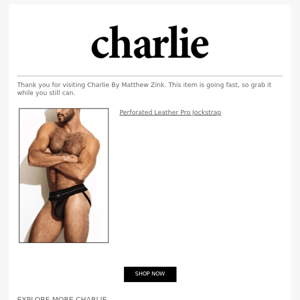 Thank you for Visiting Charlie By Matthew Zink.
