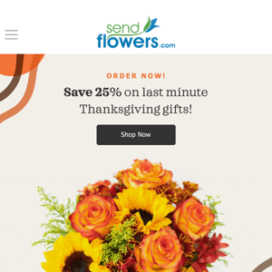 Time is Running Out! 25% Off Thanksgiving Gifts!
