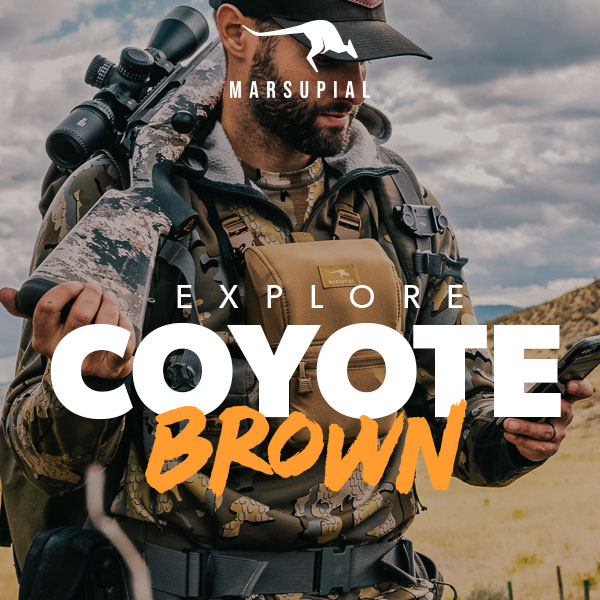 Explore Coyote Brown