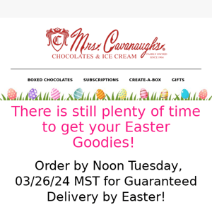 Want Guaranteed Delivery by Easter? See Details inside!