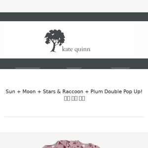 Sun + Moon + Stars & Raccoon + Plum Double Pop Up! Set Your Clocks!