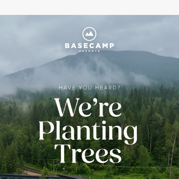 We're planting trees on your behalf!