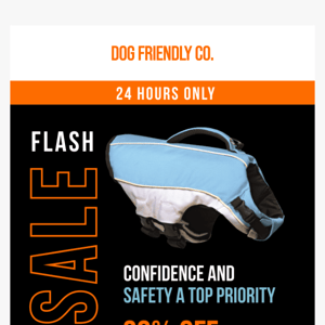 FLASH SALE: 20% OFF LIFE JACKET