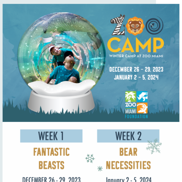 Sign your kids up for a winter wonder-camp!