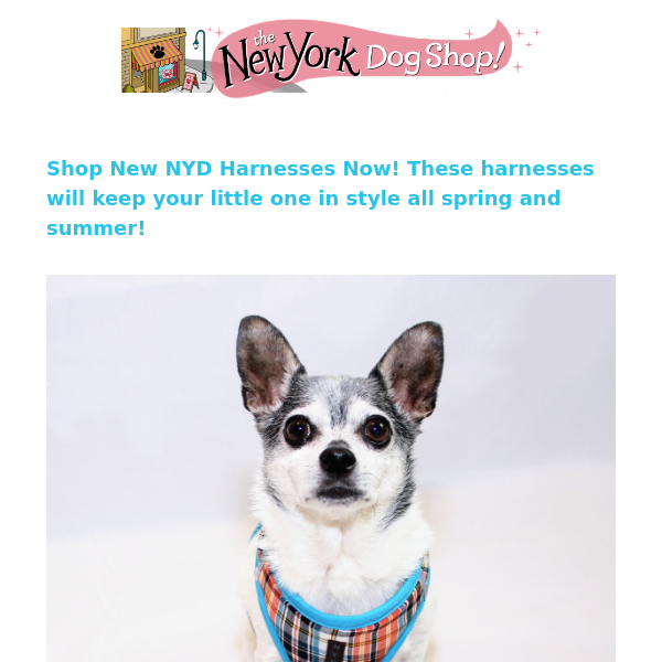 NEW NYD Spring Summer Harnesses $19.95 and up