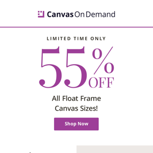 Get 55% off all Floating Frame Canvas & get the finished look!
