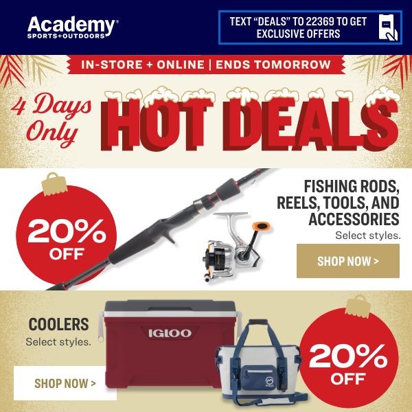  Fishing Rods - All Discounts / Fishing Rods / Fishing Rods &  Accessories: Sports & Outdoors