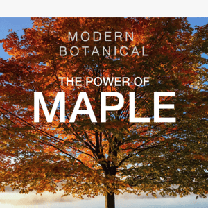 The power of Maple!