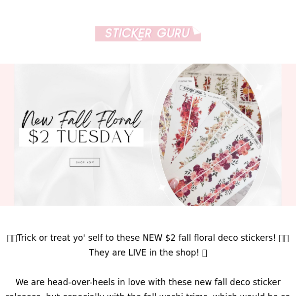 $2 TUESDAY 🍁 FALL FLORAL DECO