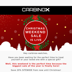 Christmas Weekend Sale-Save 20% Today!