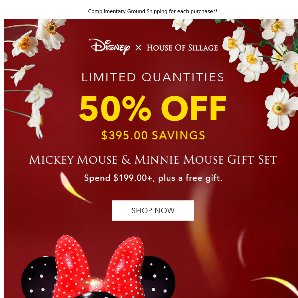 Limited Quantities: 50% Off! Mickey Mouse & Minnie Mouse Gift Set 🥰
