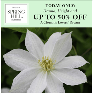 Clematis lovers can't miss this sale!