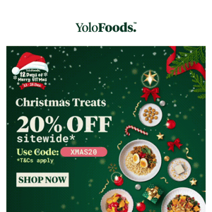 🎄 20% Off Christmas Sale 🎅