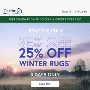 📢 25% Off Winter Rugs*