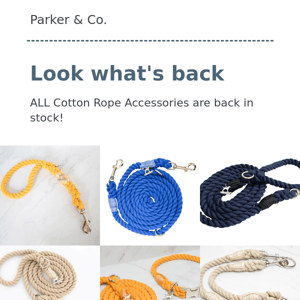 Cotton Rope Leashes & Collars are back!