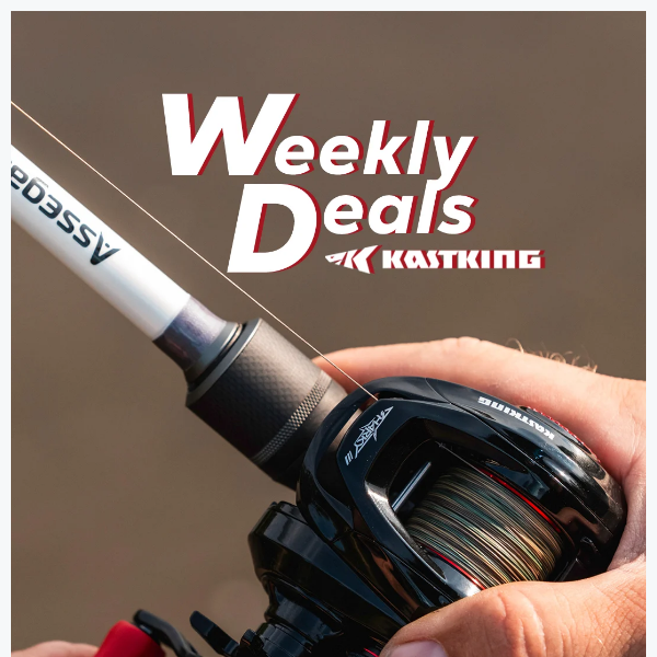 NEW FISHING REELS Added to Sale: Save up to 60% off