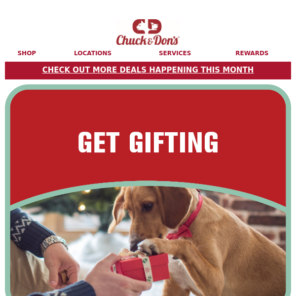 Score that last-minute gift for your pet