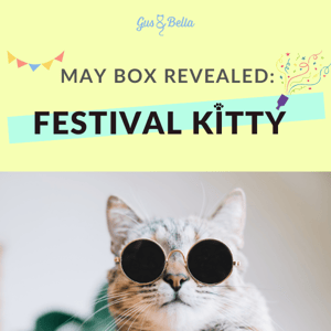 NEW BOX: Festival Kitty 🎪