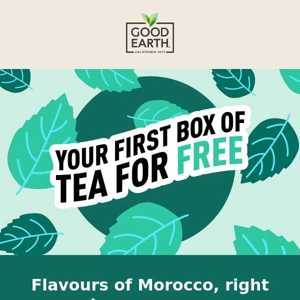 A trip to Morocco... right from your sofa! 🌿