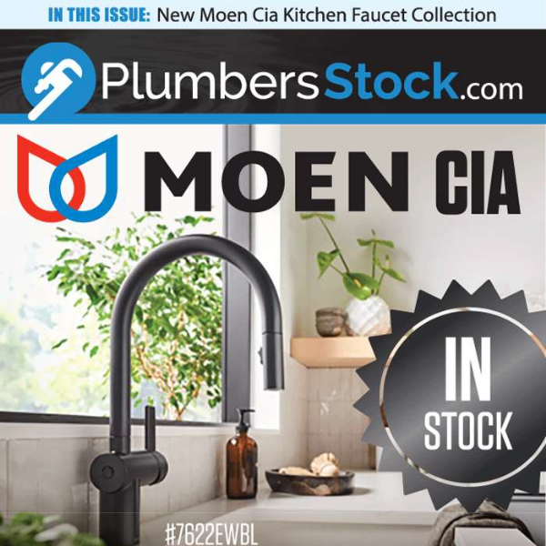 Functional & Stylish Moen Kitchen Faucets