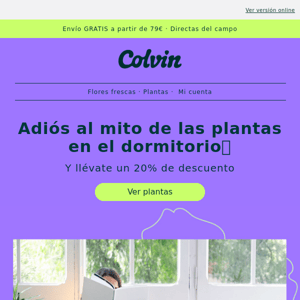 -20% | Plantas en la habitación: ¿mito o verdad?❌