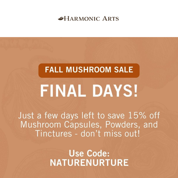 🍄 The Mushroom Sale is still on!
