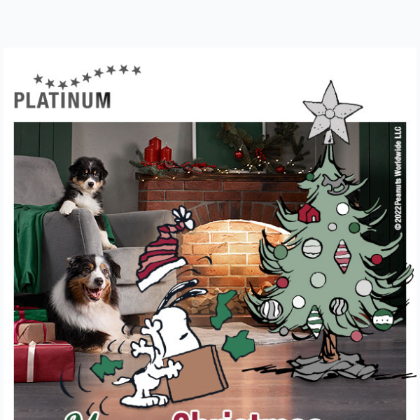 PLATINUM wishes you a Merry Christmas!
