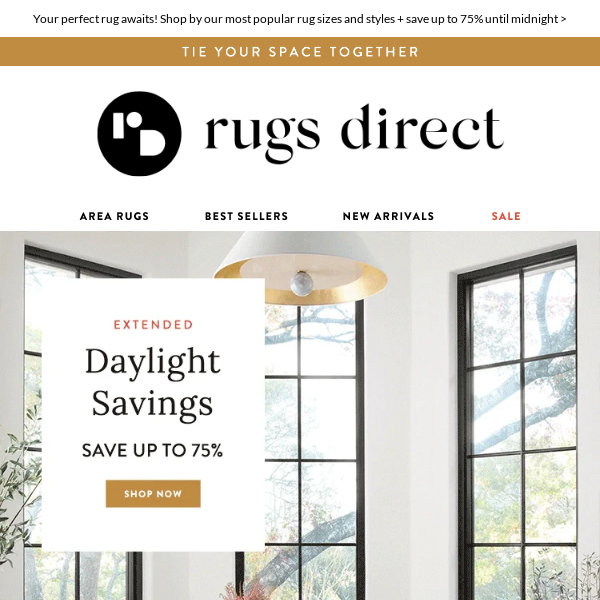 75 Off Rugs Direct Promo Code 30