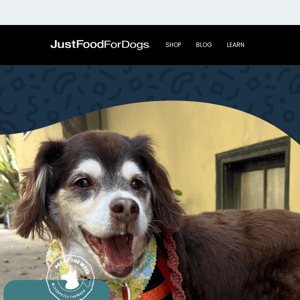 Meet JustFoodForDogs Pet of the Week: Annie!