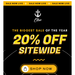 The Biggest Sale of The Year 🏄