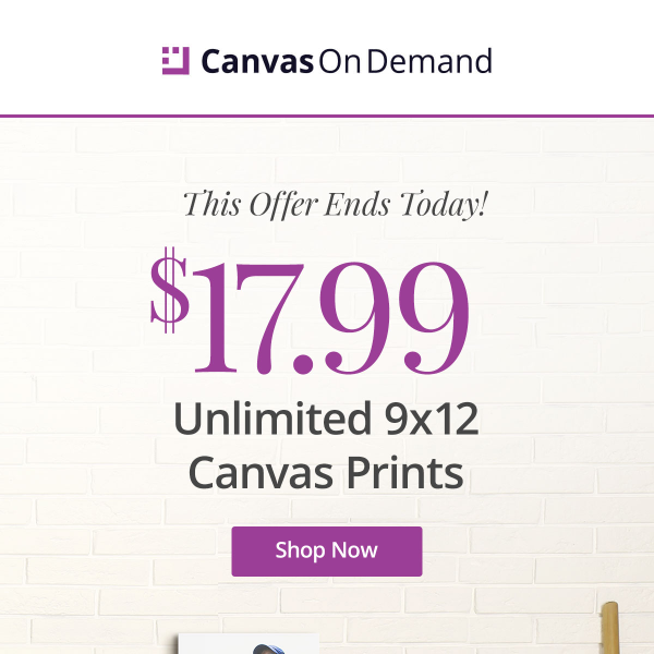 🌞 Last Call for Summer Savings! $17.99 9x12 Canvas Prints!
