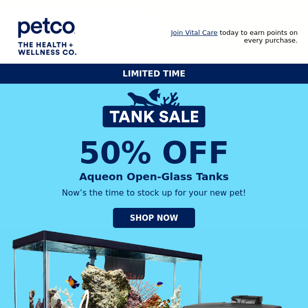 Don't miss out on 50% OFF 🐠 🦎