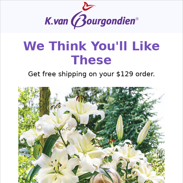 Want the best lilies selection?